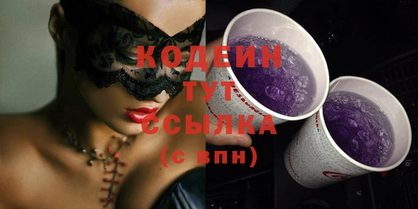 тгк Гусев