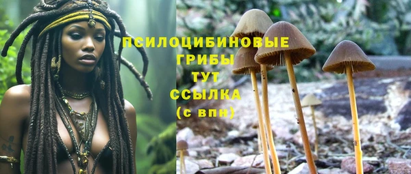 тгк Гусев