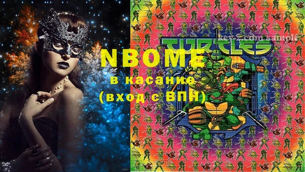тгк Гусев