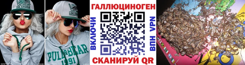 Галлюциногенные грибы GOLDEN TEACHER Надым